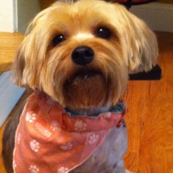 Caroline & Daisy 💕🐶 💕 - Picture 6 of 8